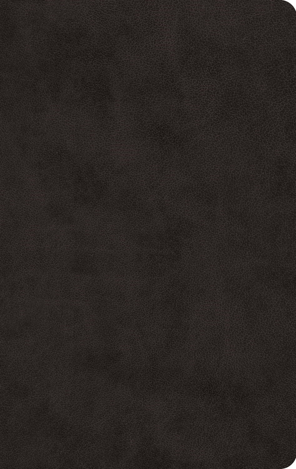 ESV Large Print Value Thinline Bible*-Black TruTone