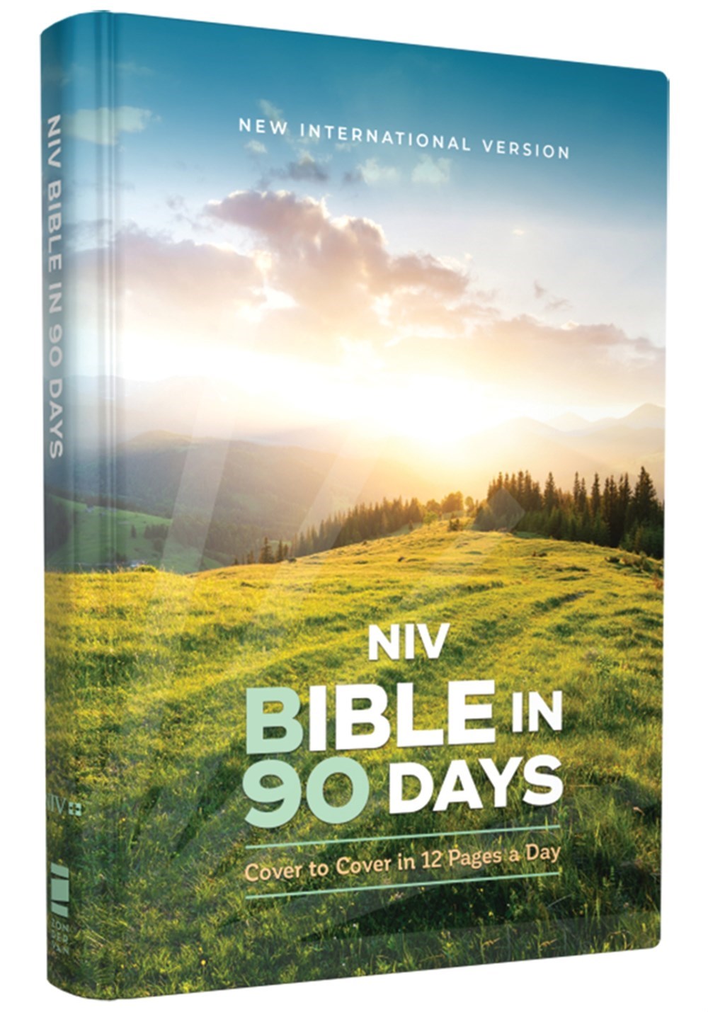 NIV Bible In 90 Days-Hardcover