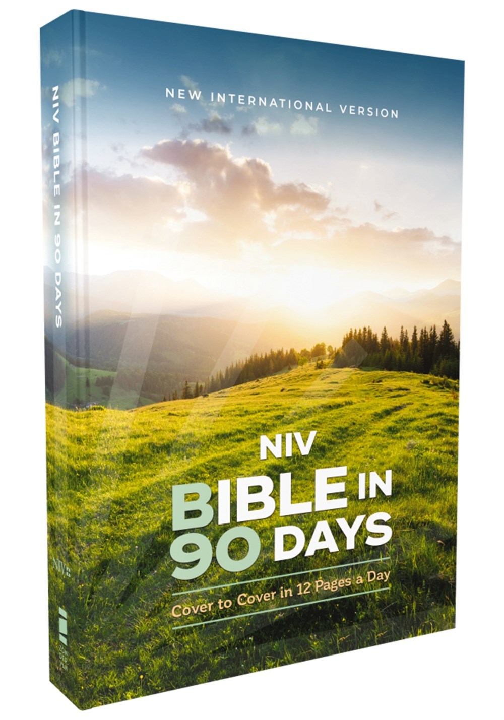 NIV Bible In 90 Days-Softcover