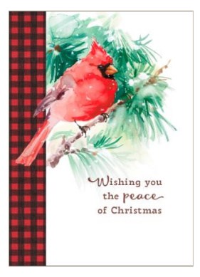Boxed Card-Christmas-Vintage Cardinal (Box Of 16)