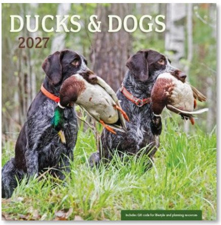2027 Wall Calendar-Ducks & Dogs