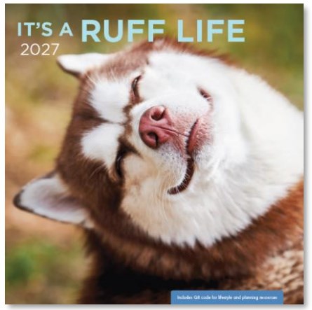 2027 Wall Calendar-It's a Ruff Life