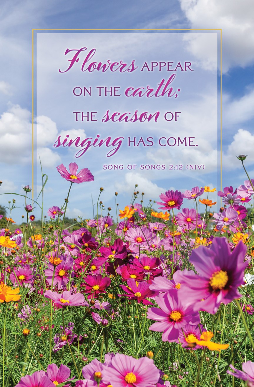 Bulletin-General-Spring-Flowers appear on the earth Song 2:12 NIV (Pack of 100)