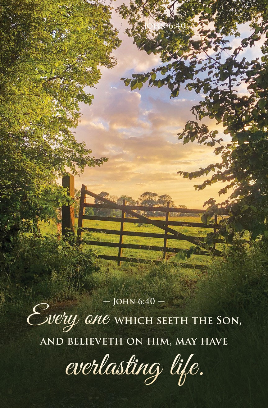 Bulletin-Funeral-Every one Seeth the Son and Believeth John 6:40 KJV (Pack of 100)