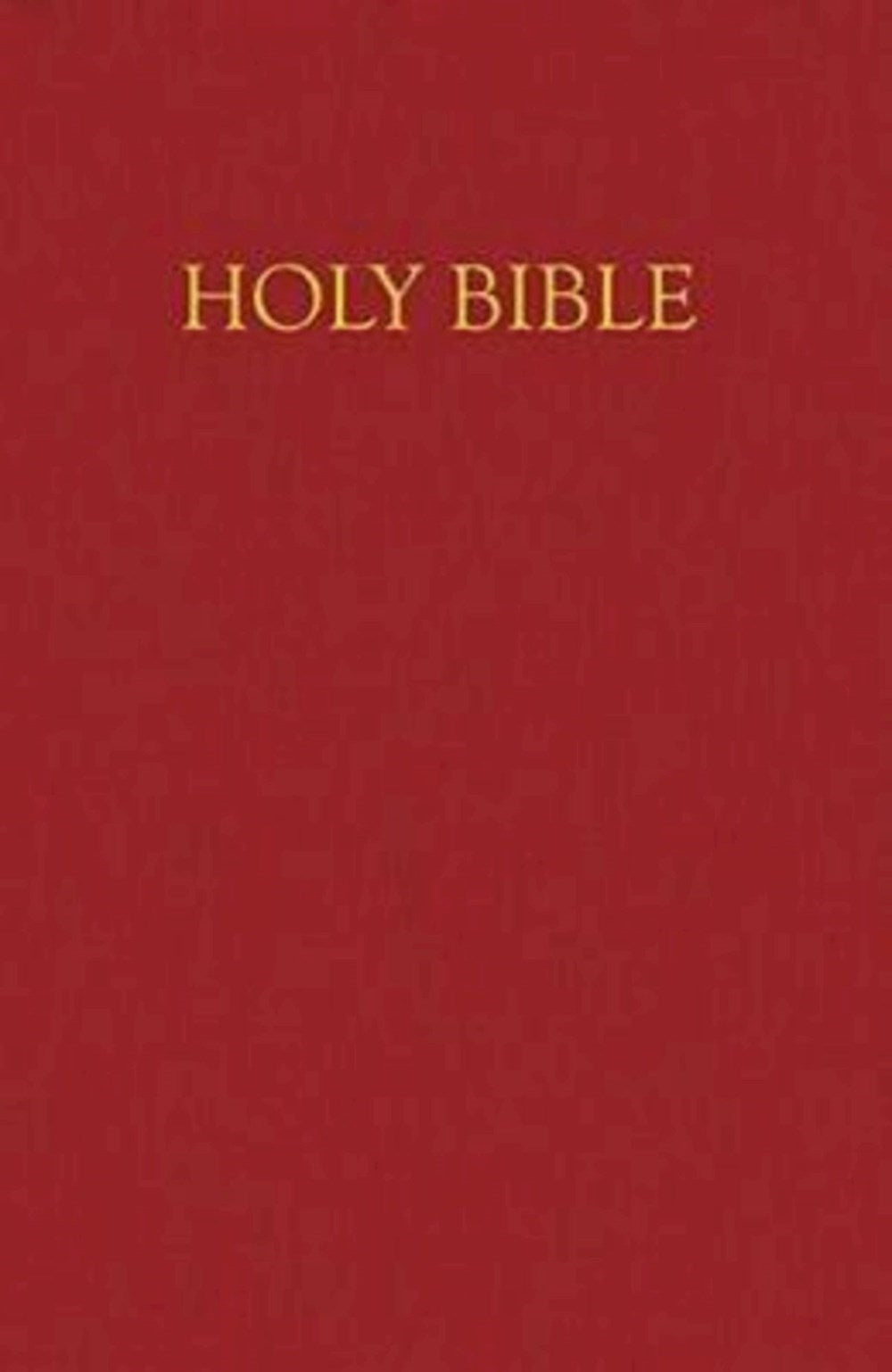 NRSV Children's Deluxe Gift Bible-Burgundy Imitation Leather