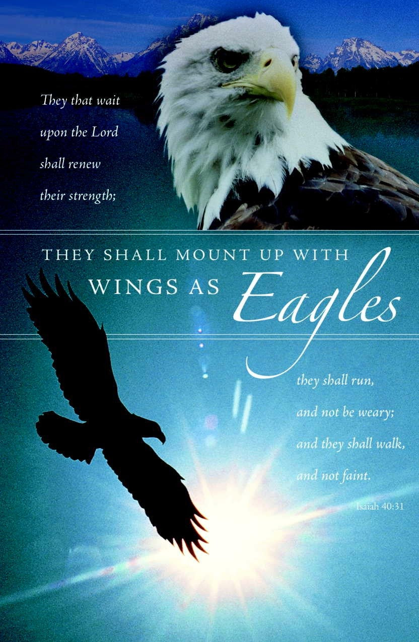 Bulletin-They Shall Mount Up With Wings Eagles (Isaiah 40:31 KJV) (Pack Of 100)