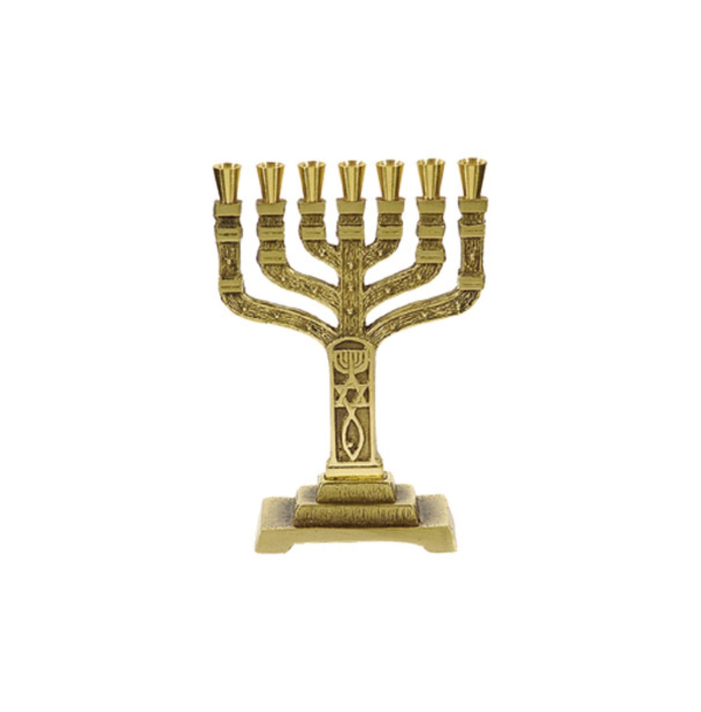 Menorah-12 Tribes-Roots (7 Branched) (6.5")-Brass (#41112)