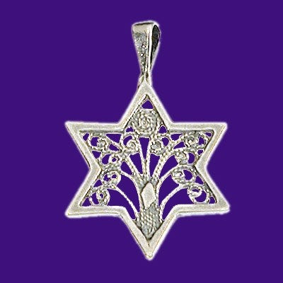 Necklace-Star Of David/Tree Of Life (Sterling Silver)-20" Chain (#9517)