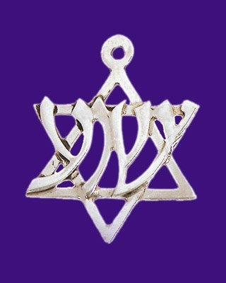 Necklace-Star Of David/Yeshua (Sterling Silver)-20" Chain (#9529)