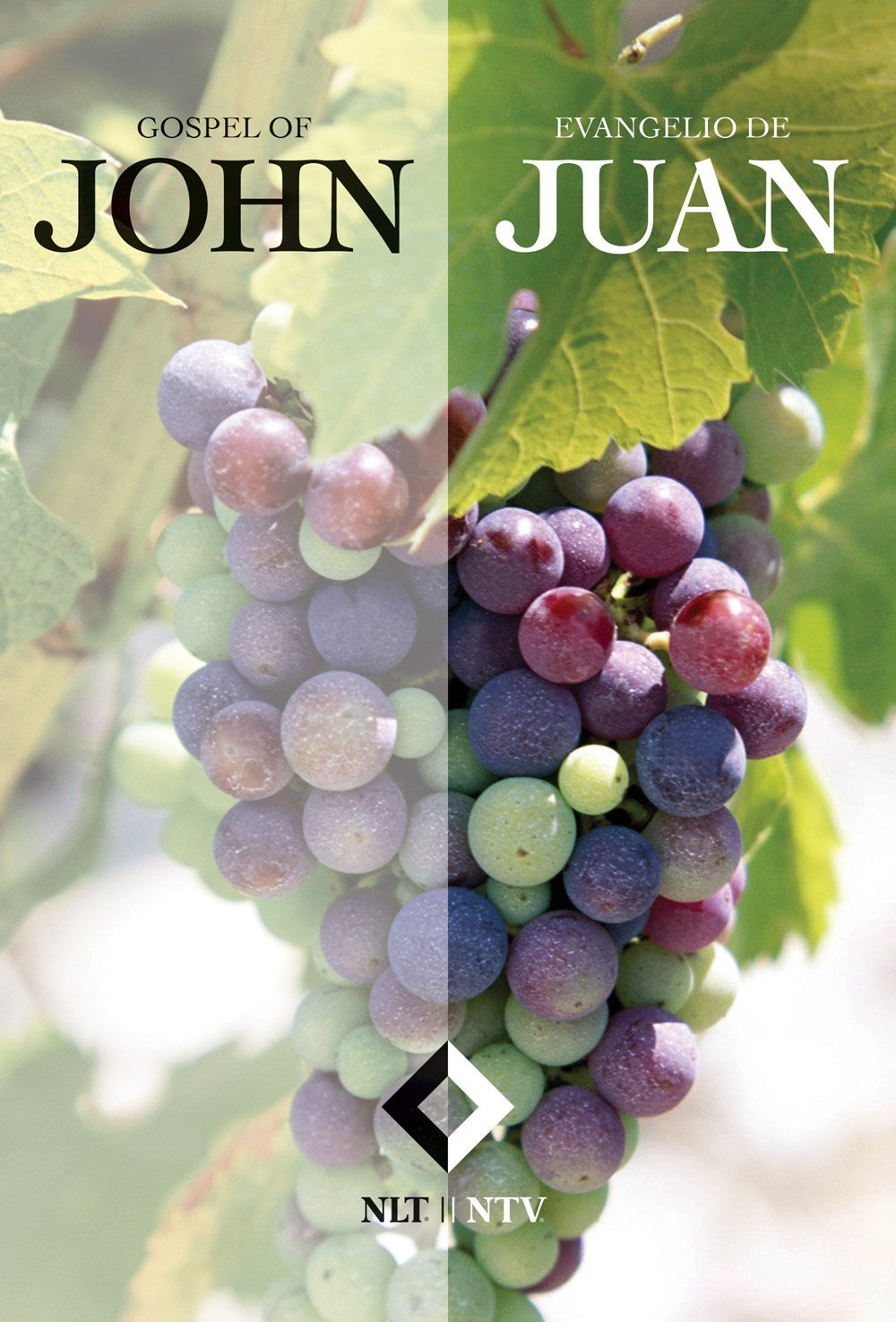 NLT/NTV Parallel-Gospel Of John (Evangelio de Juan)-Softcover