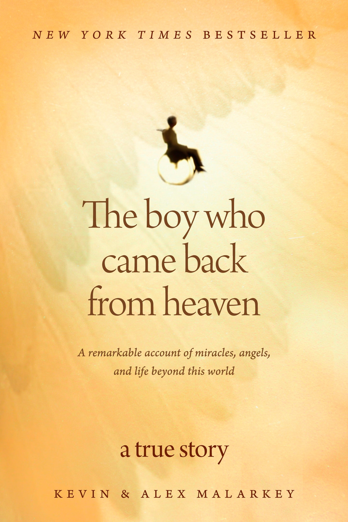 The Boy Who Came Back From Heaven