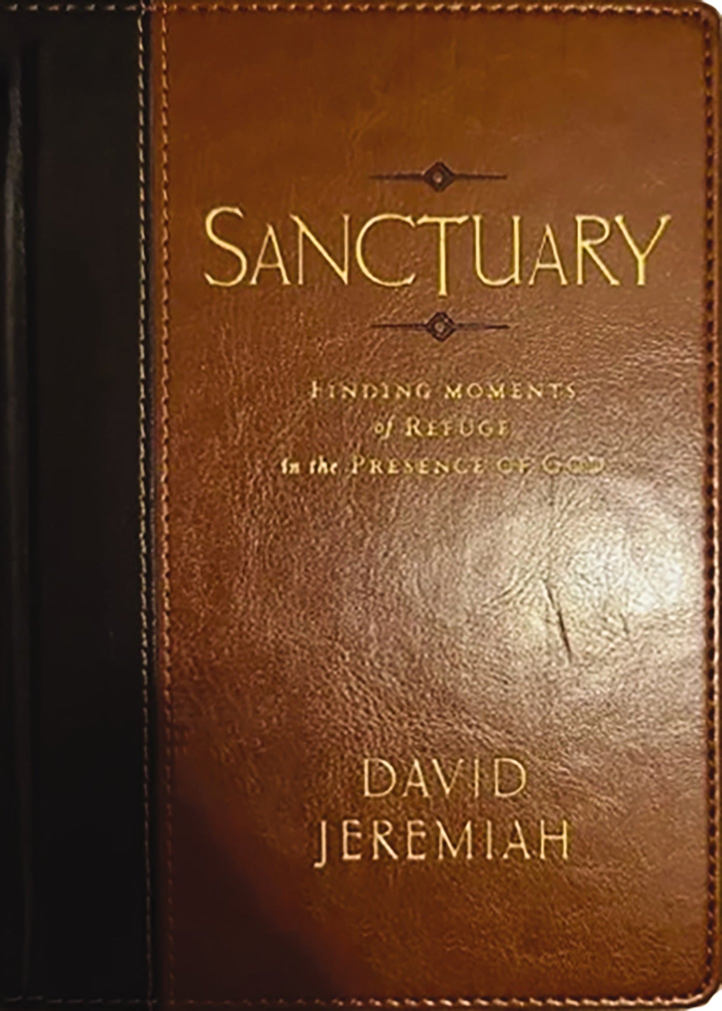 Sanctuary-Leathersoft