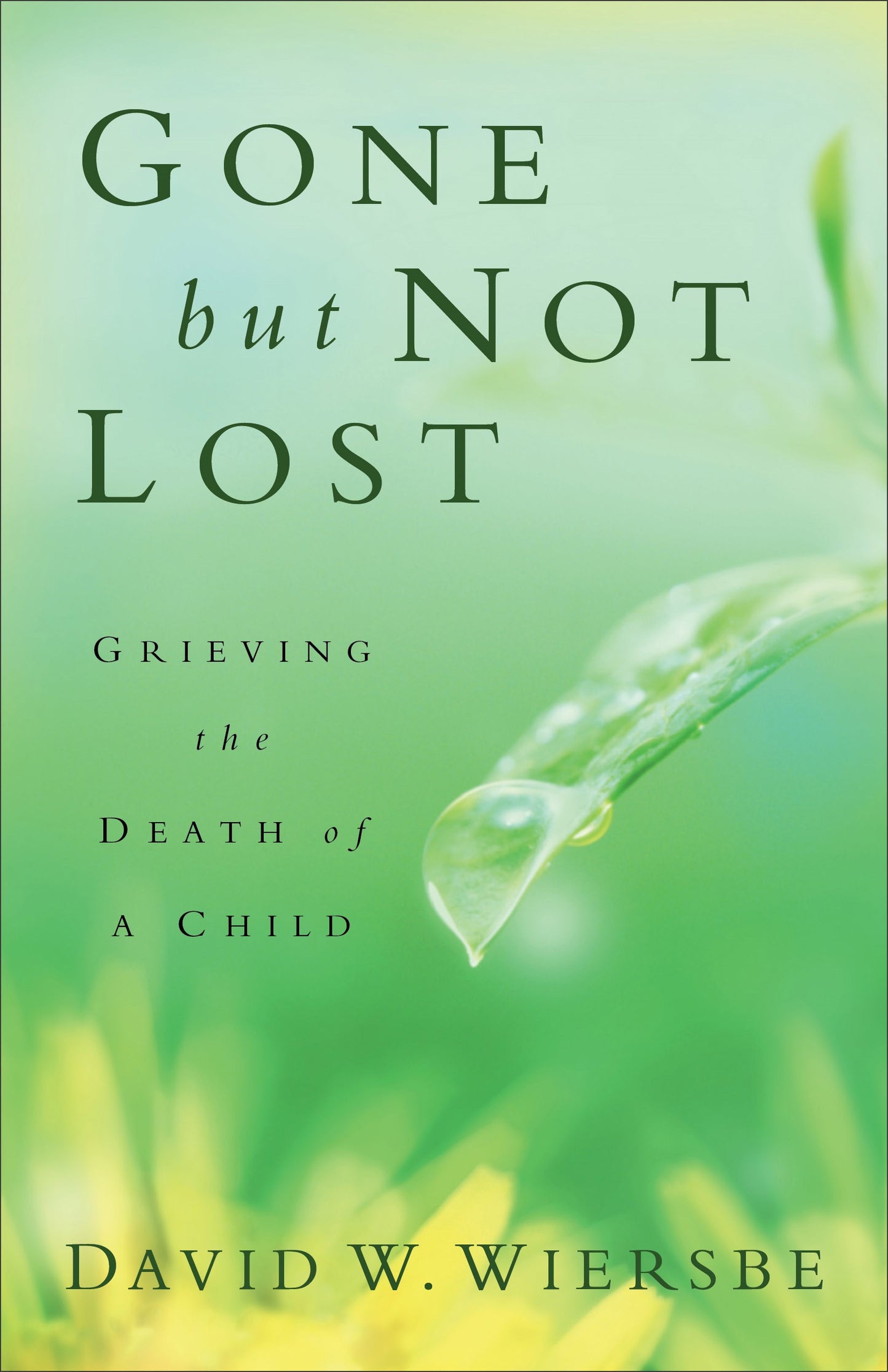 Gone But Not Lost