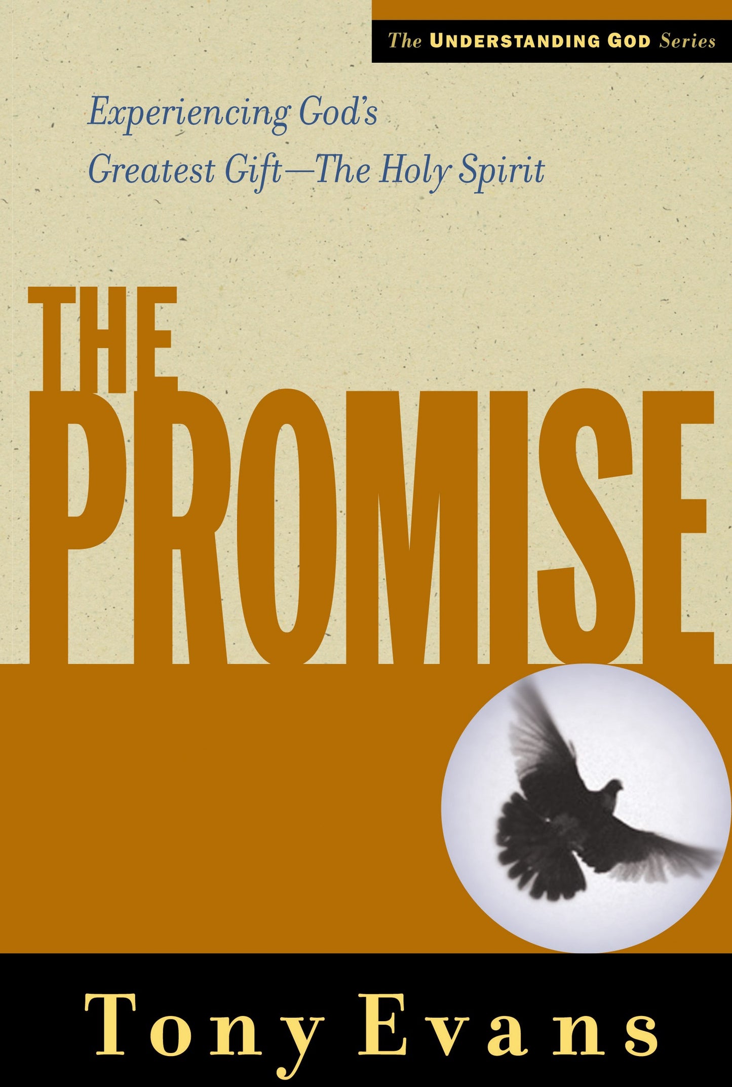 The Promise (Understanding God)
