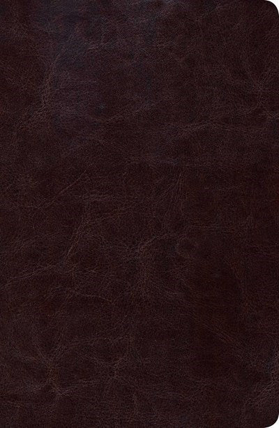RVR 1960 Nueva Biblia de Estudio Scofield Tamano Personal (New Scofield Study Bible Personal Size)-Brown LeatherTouch