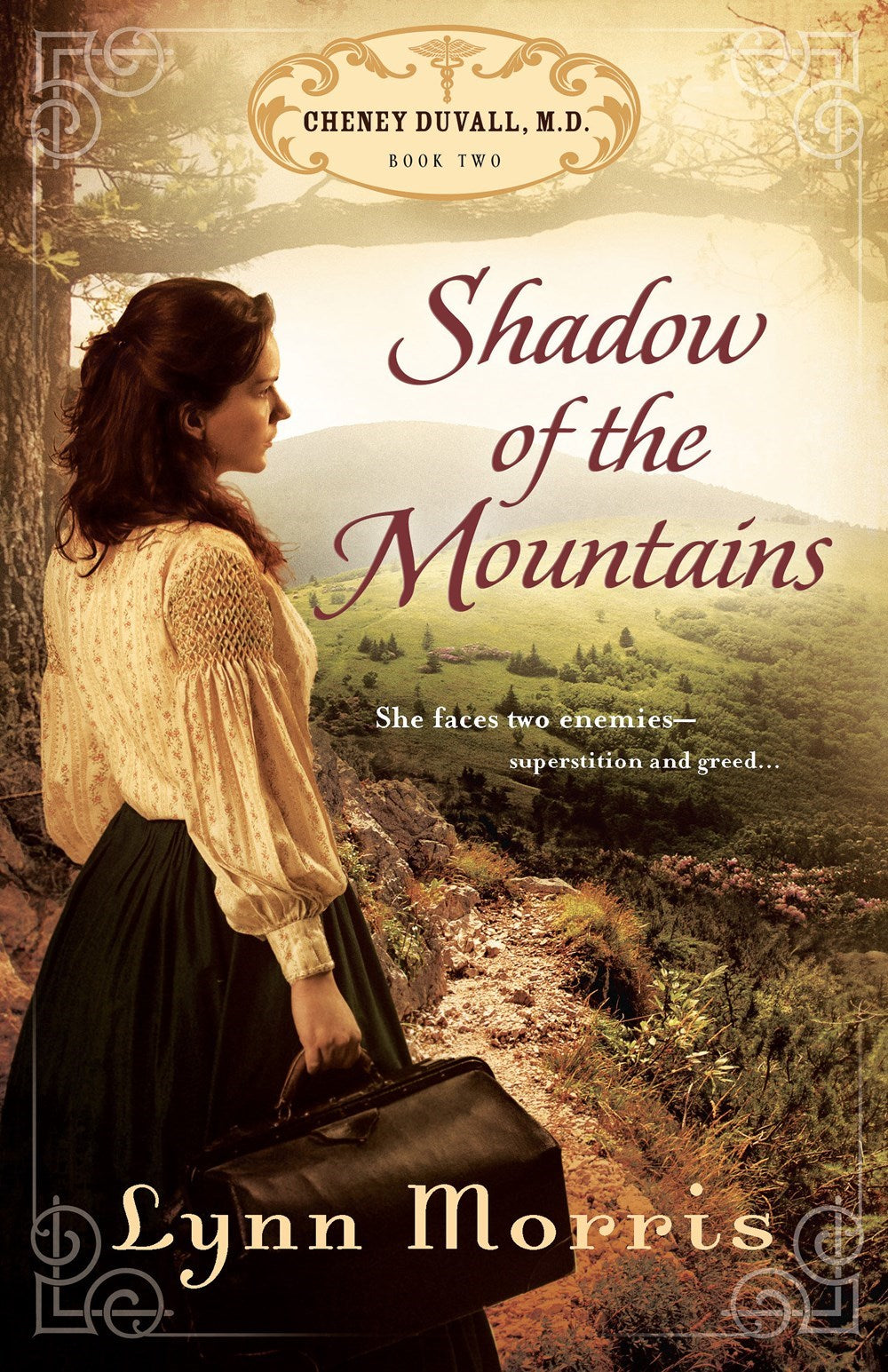 Shadow Of The Mountains (Cheney Duvall M.D. #2)