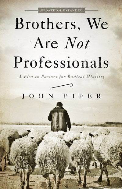 Brothers We Are Not Professionals (Updated)