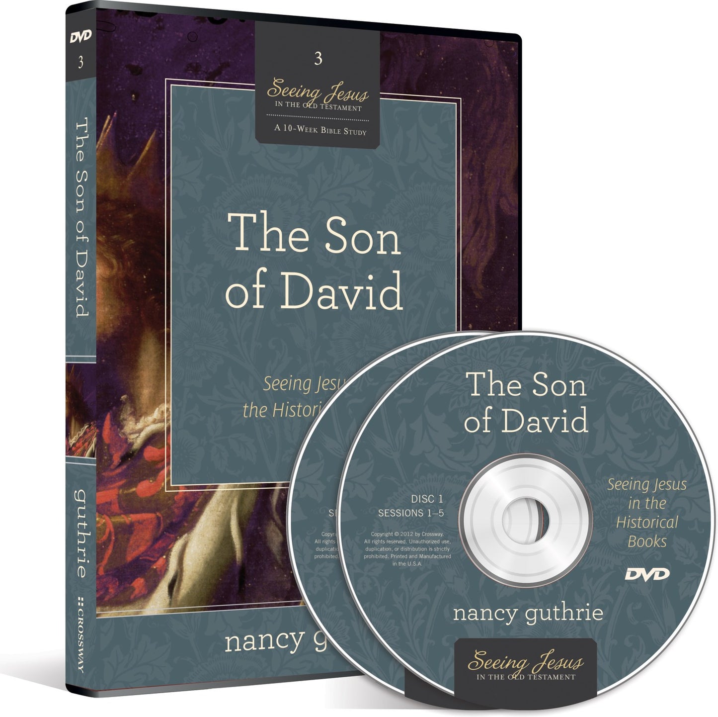DVD-The Son Of David (Seeing Jesus In The Old Testament V3) (2 DVD)