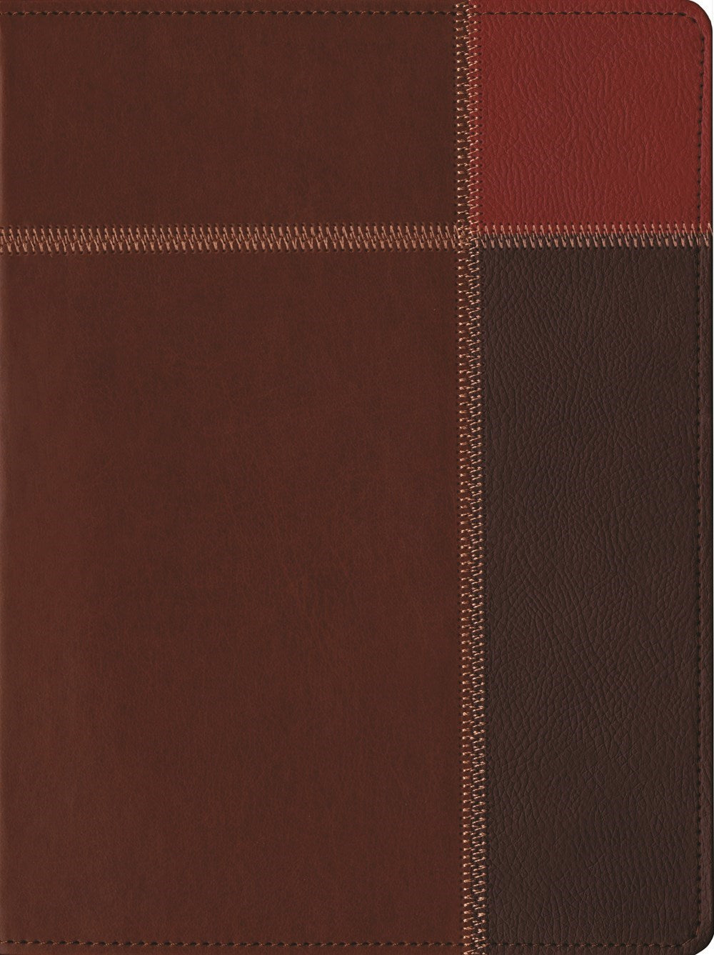 The Message/Large Print Bible (Numbered Edition)-Brown Trio LeatherLook