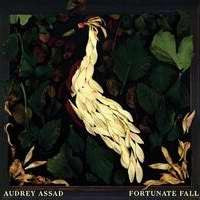 Audio CD-Fortunate Fall