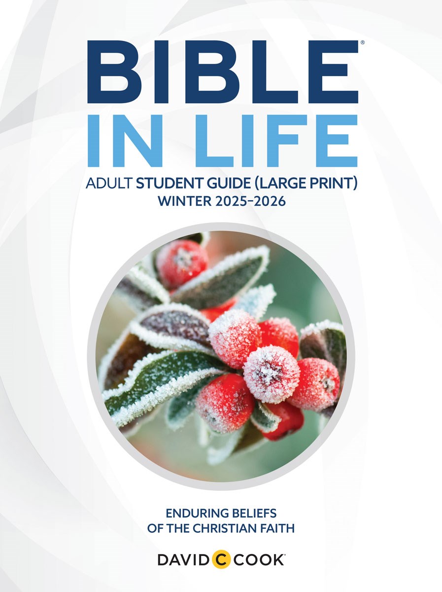 Bible-In-Life/Reformation Press Winter 2025-2026: Adult Comprehensive Bible Study Student Book Large Print (#1087)