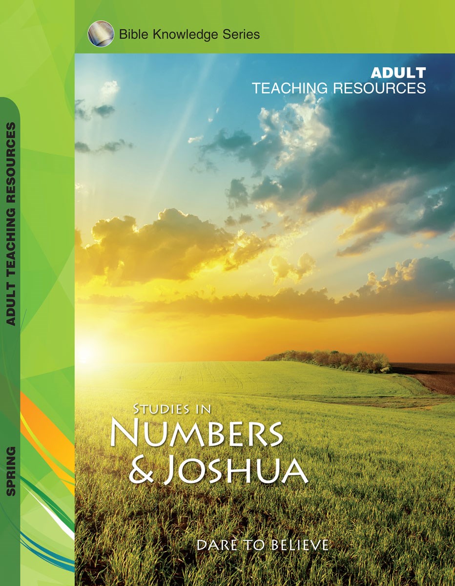 Accent/Scripture Press Spring 2026: Adult Bible Knowledge Series (KJV) Teaching Resources (#4081 7081)