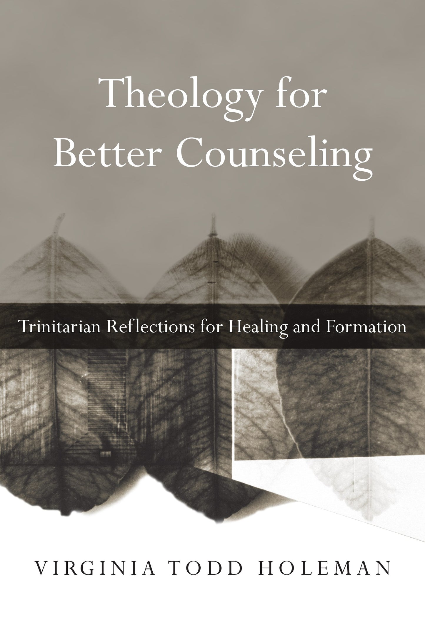 Theology For Better Counseling