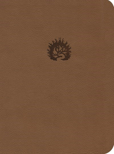 ESV Reformation Study Bible-Light Brown LeatherLike