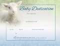 Certificate-Baby Dedication (Matthew 19:14) (Full Color Coated Stock) (Pack Of 6)