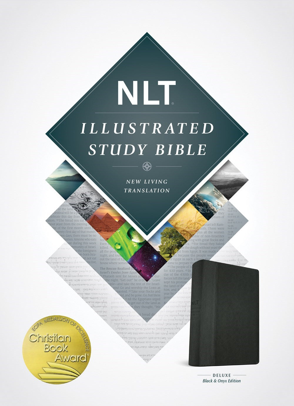 NLT Illustrated Study Bible-Black/Onyx TuTone