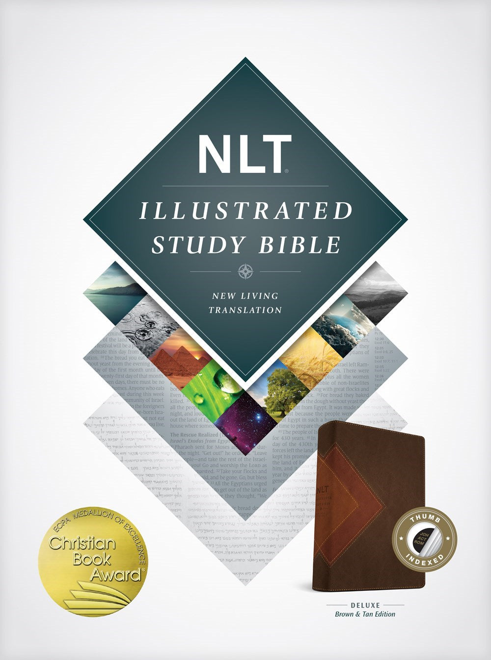 NLT Illustrated Study Bible-Brown/Tan TuTone Indexed