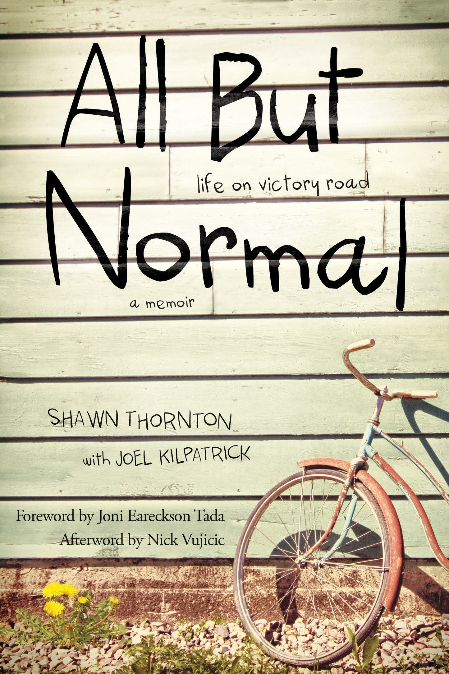 All But Normal-Hardcover