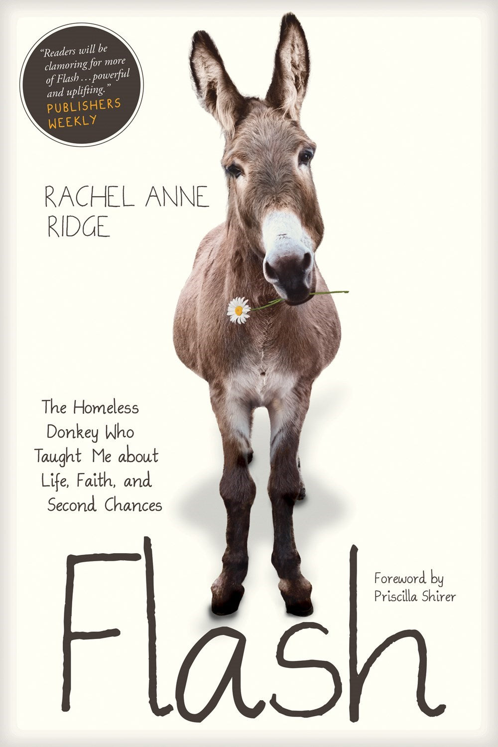 Flash: The Homeless Donkey Who Taught Me About Life Faith And Second Chances