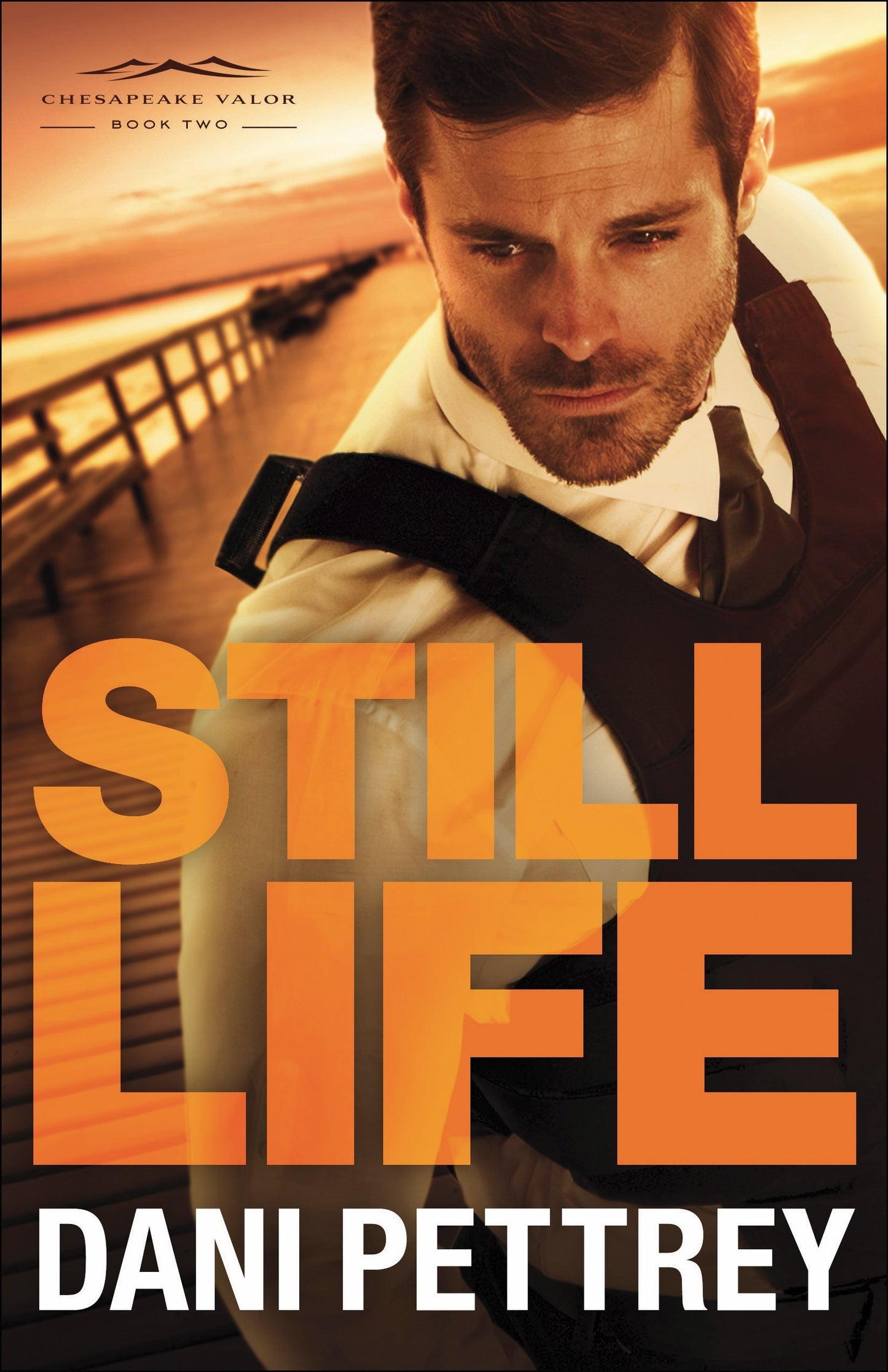 Still Life (Chesapeake Valor #2)
