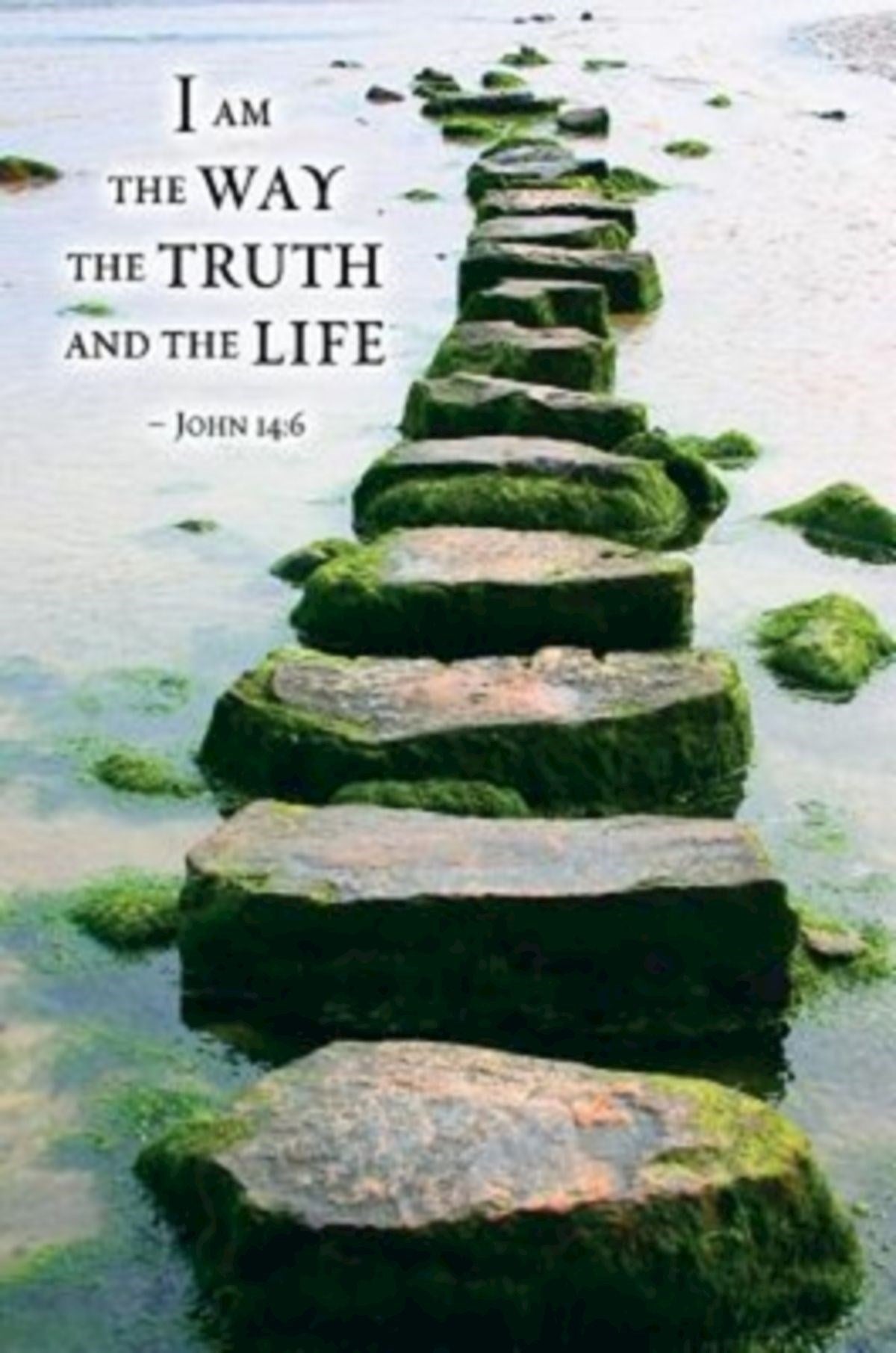 Bulletin-I Am The Way The Truth/Stone Path Scripture Series (John 14:6) (Pack Of 100)