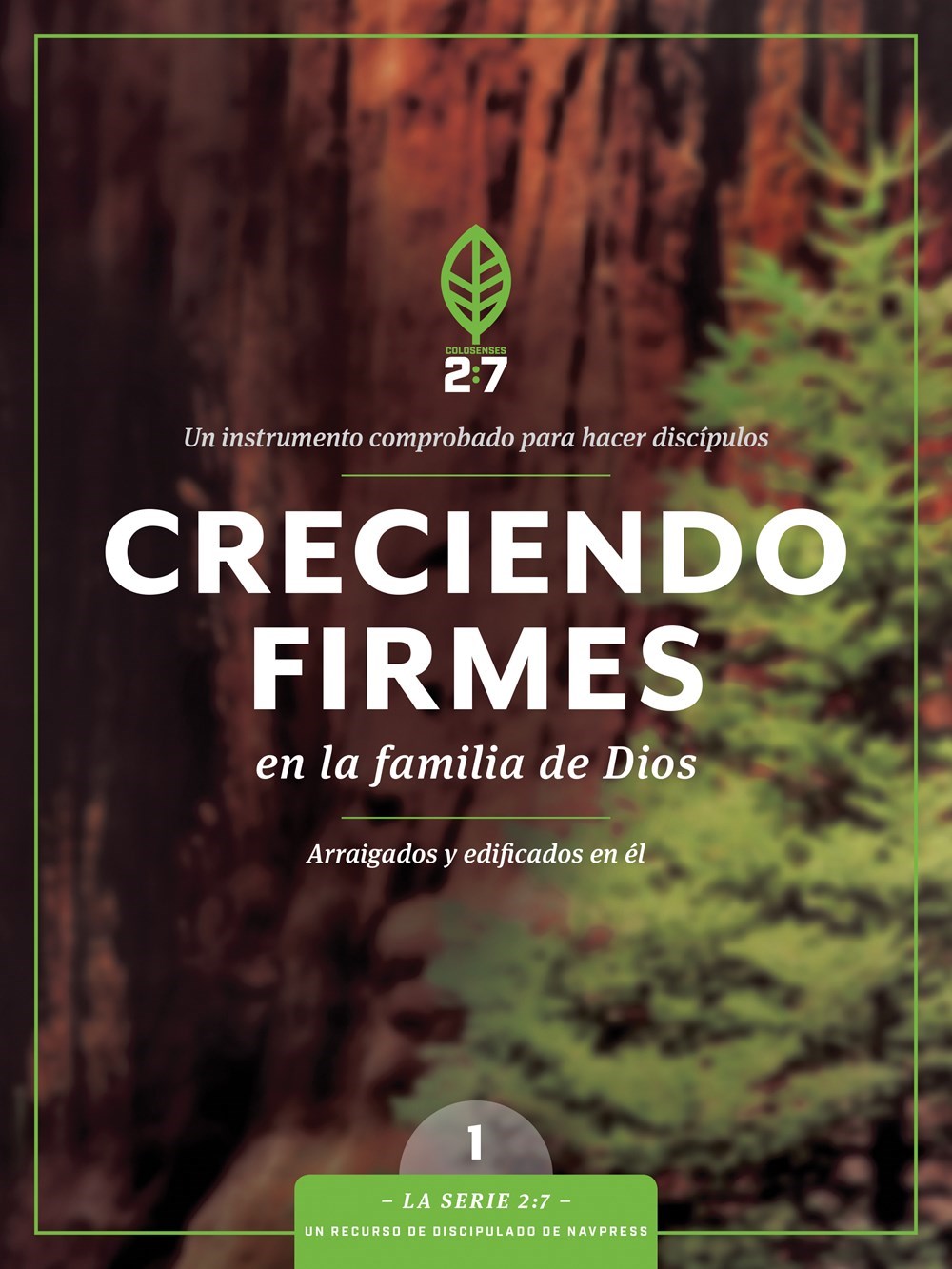 Creciendo Firmes en la Familia de Dios (Growing Strong In God's Family)