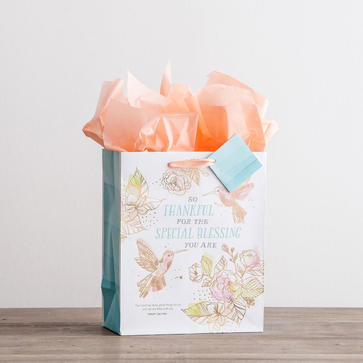 Gift Bag-Specialty-Special Blessing-Psalm 126:3-Medium