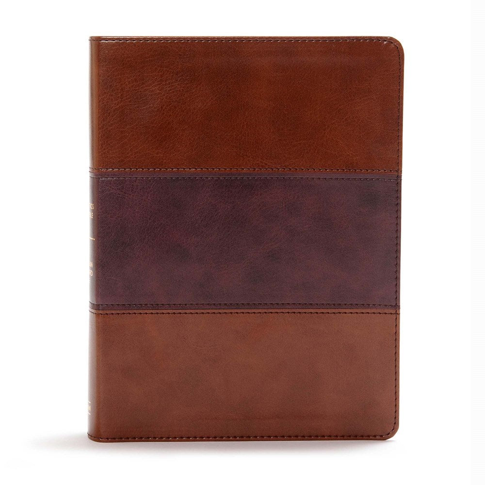 CSB Apologetics Study Bible-Mahogany LeatherTouch