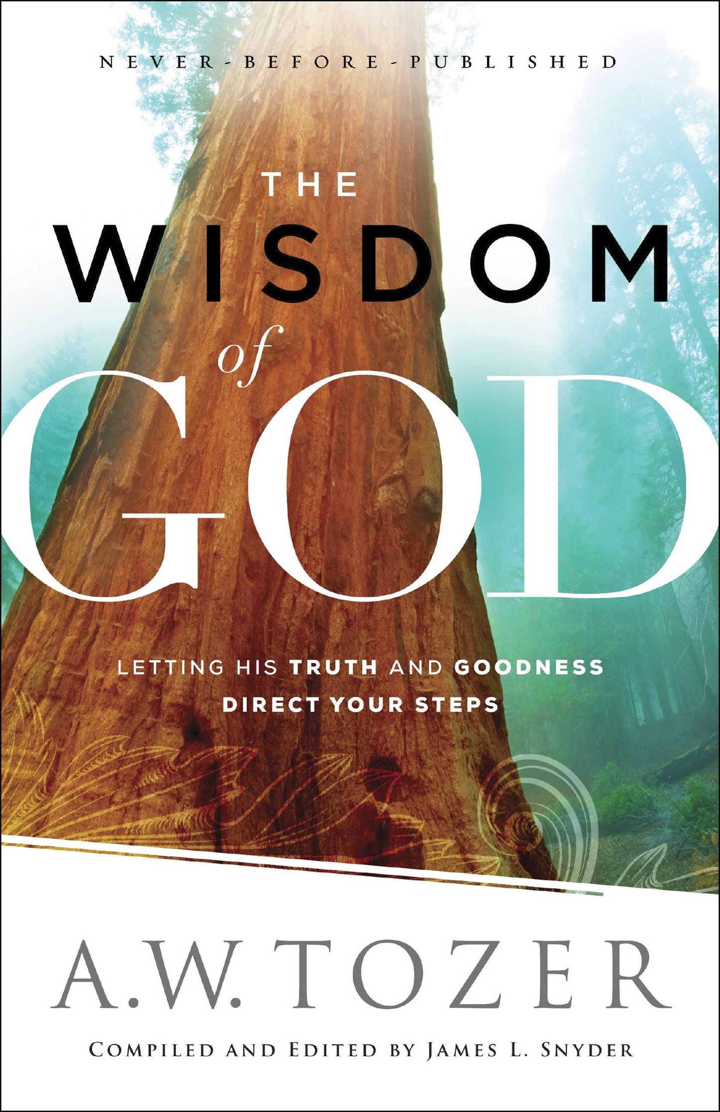 The Wisdom Of God