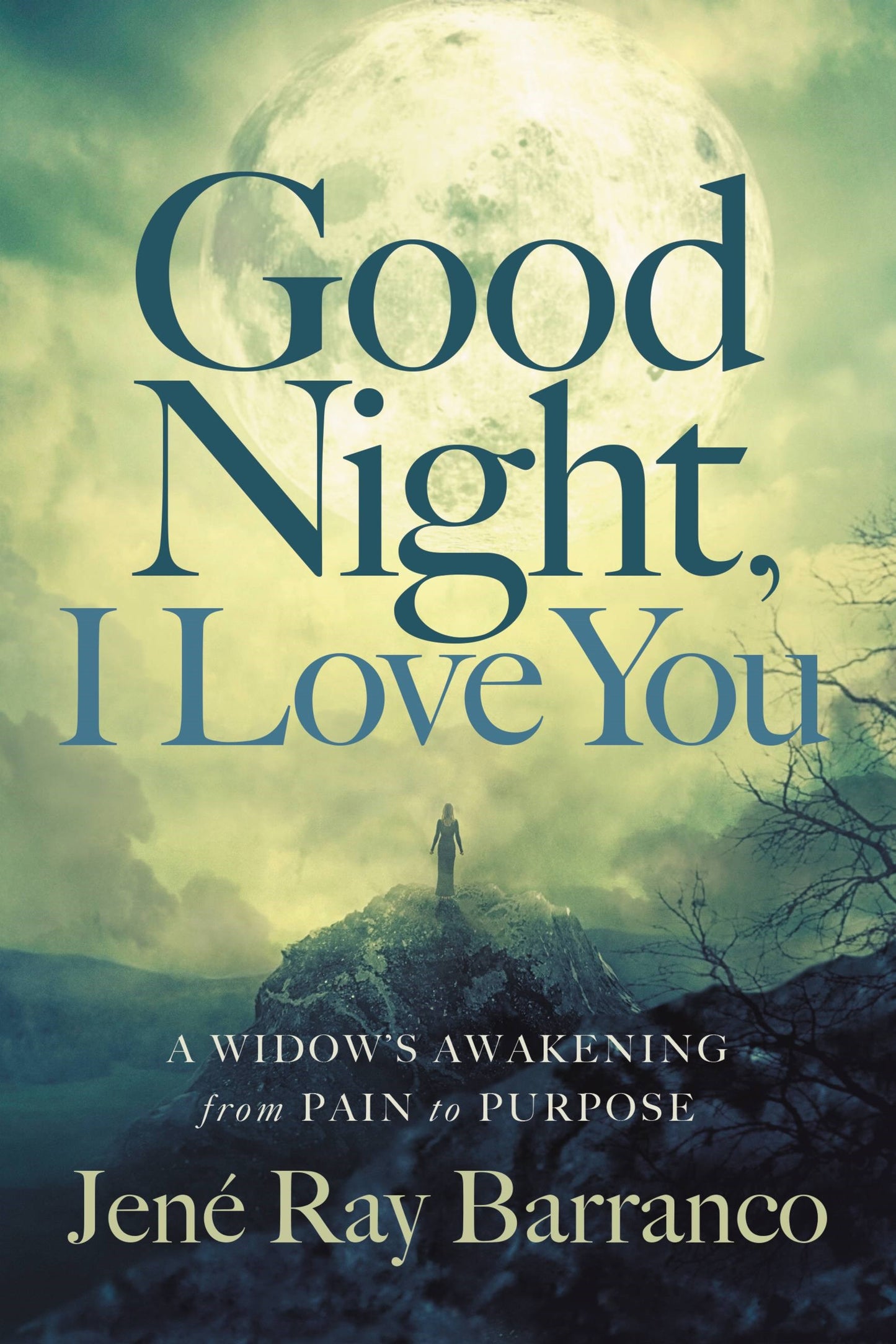Good Night I Love You