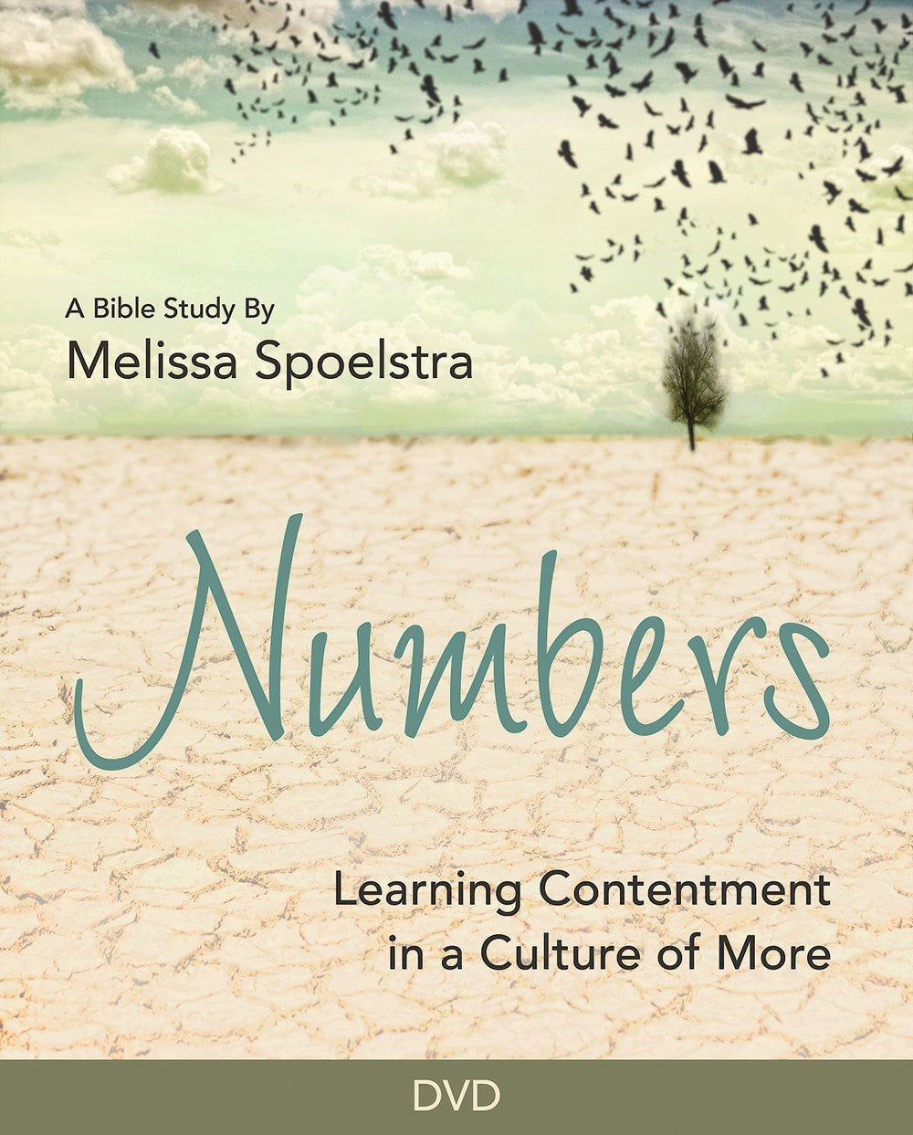 DVD-Numbers: Learning Contentment In A Culture Of More