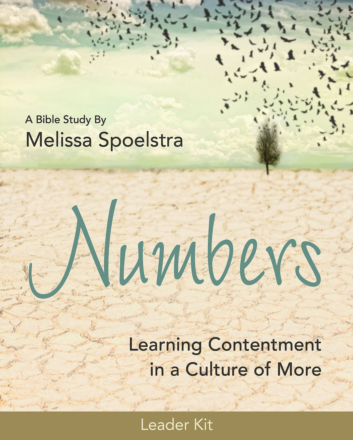 Numbers: Women's Bible Study Leader Kit (Curriculum Kit)
