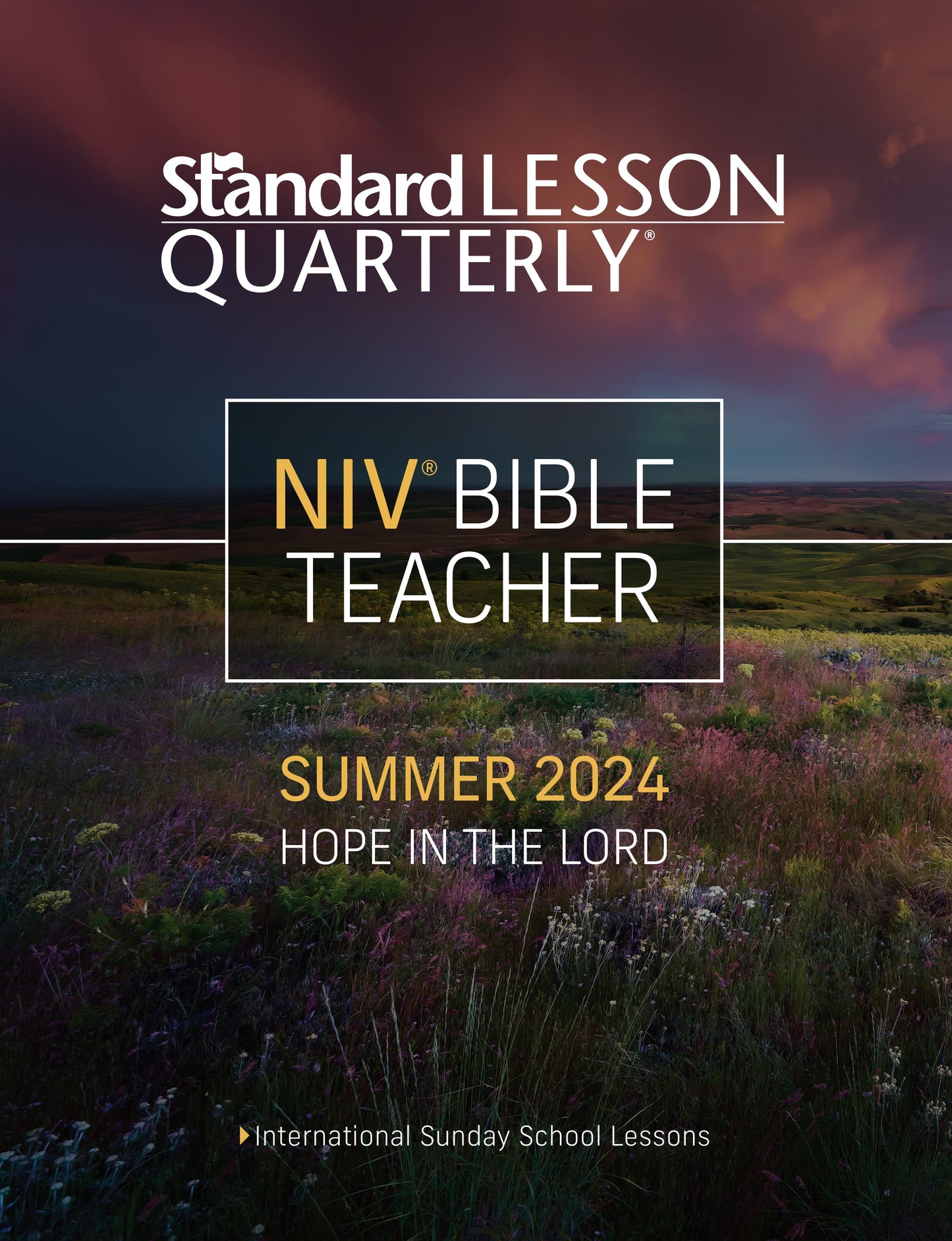 Standard Lesson Quarterly Summer 2025: Adult Bible Teacher (NIV) (#6280)