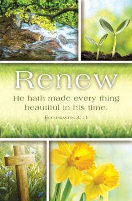 Bulletin-Renew: He Hath Made Everything Beautiful (Ecclesiastes 3:11 KJV) (Pack Of 100)