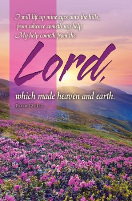Bulletin-I Will Lift Up Mine Eyes Unto The Hills (Psalm 121:1-2 KJV) (Pack Of 100)