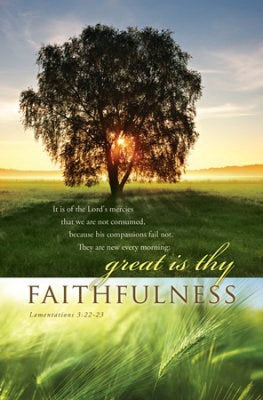Bulletin-The Lord's Mercies: Great Is Thy Faithfulness (Lamentations 3:22-23 KJV) (Pack Of 100)