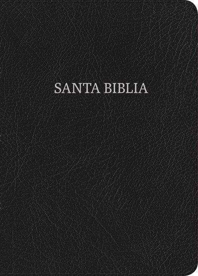 Span-NIV Large Print Compact Bible (Biblia Compacta Letra Grande)-Black Bonded Leather Indexed