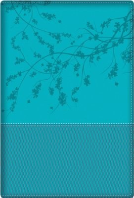 RVR 1960 Biblia de la Mujer Conforme al Corazon de Dios (A Woman After God's Own Heart Bible)-Aqua Duotone