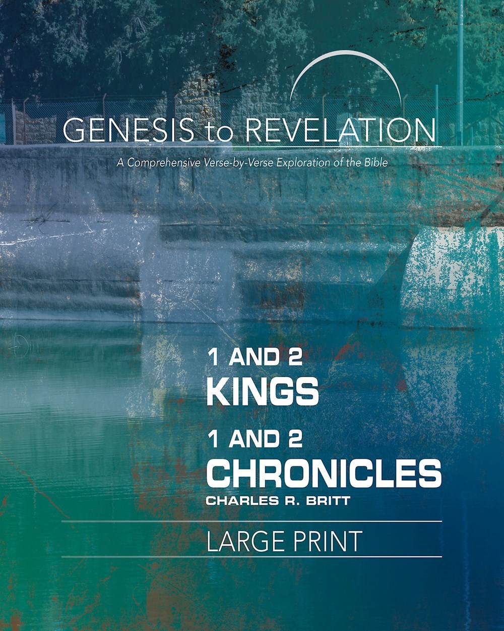 1 And 2 Kings 1 And 2 Chronicles Participant Book-Large Print