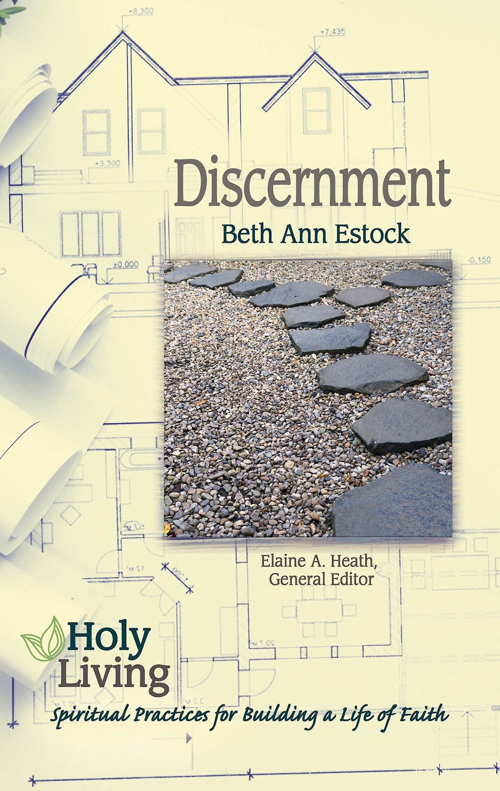 Discernment (Holy Living Series)